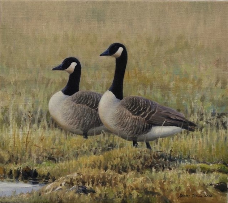 Nicolas Dillon |Candian Geese| oil | McAtamney Gallery and Design Store | Geraldine NZ